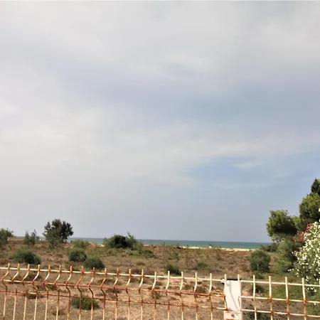 Barret * Denia